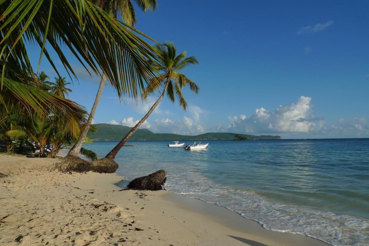 Apart-Hotel Garden Villa Las Galeras Zewnętrze zdjęcie