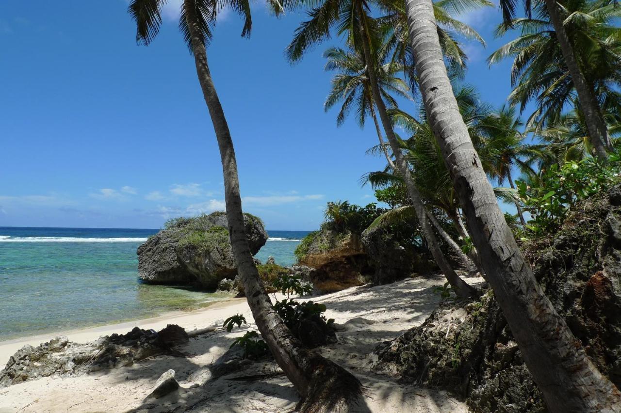 Apart-Hotel Garden Villa Las Galeras Zewnętrze zdjęcie
